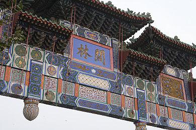 《艾尔登法环》隐藏的斗兽场新视频 或将作为DLC推出？